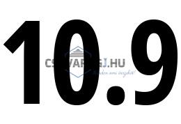 10.9 osztály