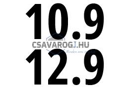 10.9 és 12.9 osztály